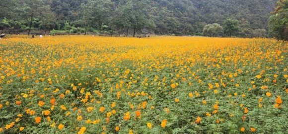 09e7bf1a570d5c42aeb21ad0001ac276_1760938