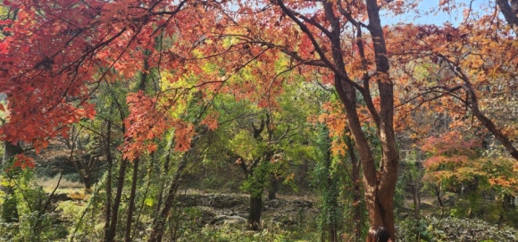 7ded59f7eadda3688caccf5f31674b06_1763436426_0707.jpg 7ded59f7eadda3688caccf5f31674b06_1763436