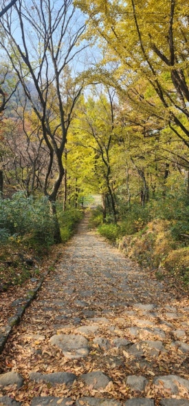 7ded59f7eadda3688caccf5f31674b06_1763436426_1165.jpg 7ded59f7eadda3688caccf5f31674b06_1763436