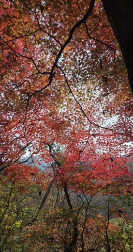 7ded59f7eadda3688caccf5f31674b06_1763436461_2112.jpg 7ded59f7eadda3688caccf5f31674b06_1763436